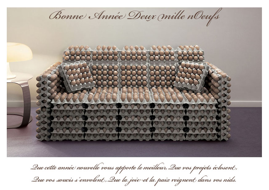 Bonne ann�e 2009 !